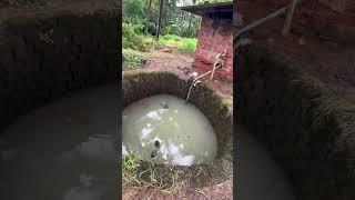 കിണറിൽ ഇങ്ങനെയാണ് മീൻ കേറുന്നത് #shorts #fishing #fish