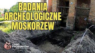 Gang Prosiaków - Badania Archeologiczne z @archeologwszpilkach - Moskorzew @TopDigin