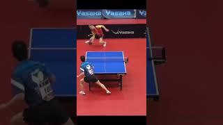 Chopping the ball like a boss  #tabletennis #pingpong #sports #tennis #badmintonlovers #shorts