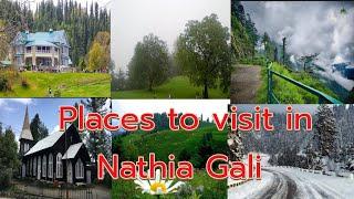 Places to see in Nathia gali | Tourist Destinations in Nathia Gali | Places to visit in Nathia Gali