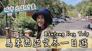 【馬來西亞 EP18】城市出走計畫，文冬一日遊#文冬 ＃Bentong