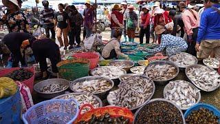 Cambodia Kilo 9 Fish Market Scene - Plenty Alive Fish, Rural Fish, Dry Fish Seafood & More