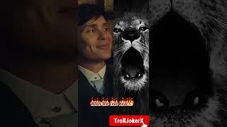 When the Lion  roaring #lion #peakyblinderscast #thomasshelby