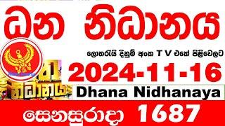 Dhana Nidhanaya 1687 2024.11.16 Today nlb Lottery Result Results ධන නිධානය අද  දිනුම් ප්‍රතිඵල