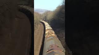 Some real pulling power. Class 66 hauls logs! #railway #train #shorts