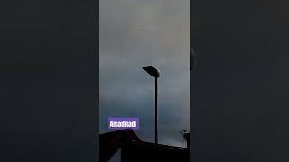 Strong winds #amadriadi #vlogs #celiabailes