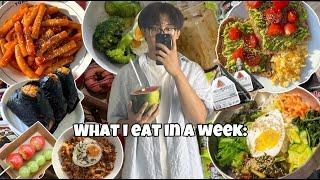 What i eat in a week in India (Korean + Indian)