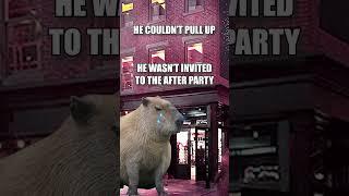 Capybara Meme Compilation #capybara #meme #compilation