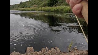 Salmon fishing on the River Thurso 2024 Day 4