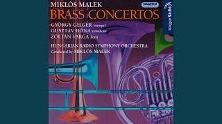 Horn Concerto: II. Largo