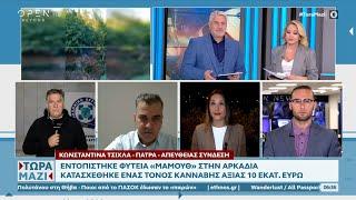 Εντοπίστηκε φυτεία «Μαμούθ» στην Αρκαδία | Ethnos