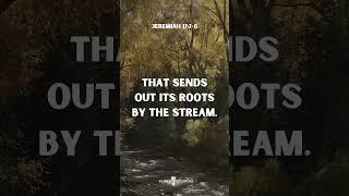 Jeremiah 17:7-8