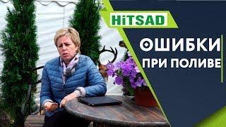 ТОП 10 Ошибок При Поливе Растений  Как Правильно Поливать Растения  Советы От Хитсад ТВ