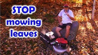 Stop Mowing Leaves