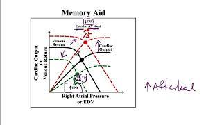 USMLE ACE Video 121: Venous Return and End diastolic volume (EDV)