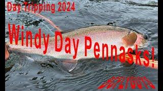 Stillwater Fly Fishing: Windy Day Pennasks - BCFLYGUYS Day Tripping S02E05