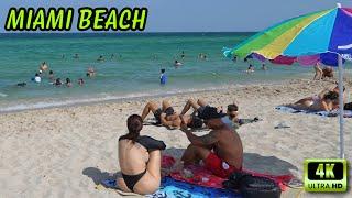 Miami Beach Walking Tour