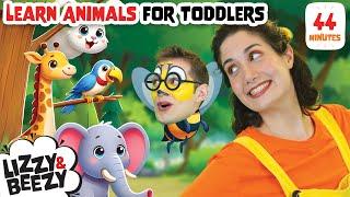 Learn Animals for Toddlers |Farm Animals, Spider Hunt, Finger Family |  Educational Videos