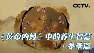 冬天如何补肾更有效？看古人怎么做 20210122 |《健康之路》CCTV科教