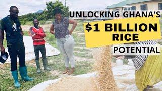 Unlocking Ghana's $1 Billion Rice Potential