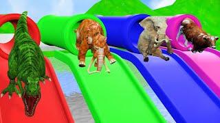 Choose the Right Pipe with Cow Cartoon Elephant Mammoth Gorilla Dinosaur Wild Animals Water Slide