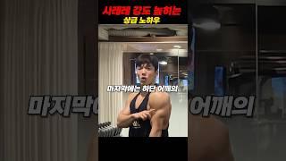 이도황의 사레레 강도 높히는 상급노하우