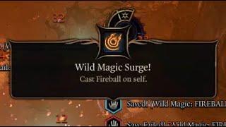 the wonders of wild magic