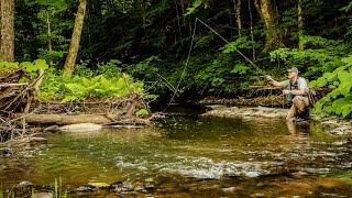 Exploring a Hidden Gem | Fly Fishing for Wild Trout on a Small Overlooked Stream - Central, NY