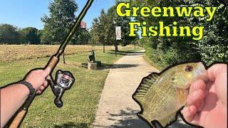 Urban Creek Fishing