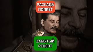 РАССАДА ПОПРЁТ НА ГЛАЗАХ. ЗАБЫТЫЙ РЕЦЕПТ из СССР #огород #дача #сад #компост #огородничество
