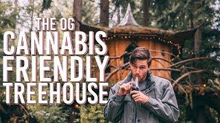 Staying at the CANNABIS FRIENDLY TREE HOUSE near SEATTLE