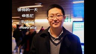 澳洲三百六十行|悉尼华人律师的一天 Day in the life of a Chinese solicitor in Sydney