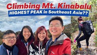 2D1N MOUNT KINABALU (March 2023) ️- FIRST TIME Journey, Experiences + Hiking Package & Tips!