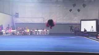 World's Best Flips - 2013