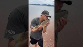 Here Is Seven Fishing At Beautiful Antero Reservoir In Hartsel, Colorado: #beautiful #place #world