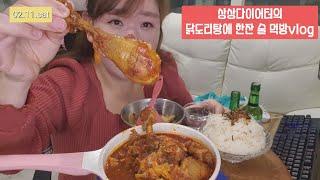 독거노처녀홈술vlog I 토종닭도리탕에 소주한잔 #강아지빈혈 #토크 #혼술 #독백 #상상다이어트