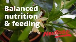 Neutrog TV | Balanced nutrition & feeding