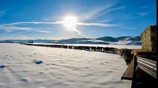 Moving Cows And Preparing For The Long Winter Ahead