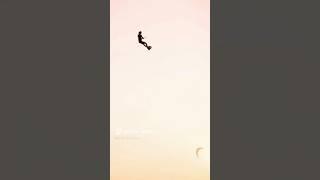 I always KNEW hover boards were real! Im ready 4 summer! #hoverboard #kiteflying #beach #sunrise