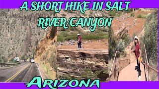 A SHORT HIKE IN SALT RIVER/CANYON, ARIZONA