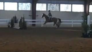 Buddhaful's 1st Horse Show - Warm up round