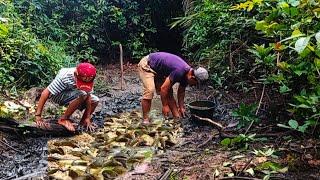 Musim Kemarau Berburu Ikan Di Sungai Kering Di Tengah Hutan Lihat Ikan Nya.