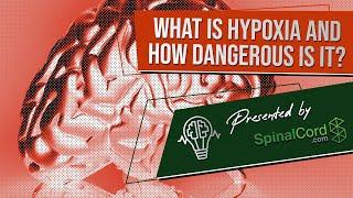 Hypoxia: Definition, Causes, Symptoms and Treatment. (What is hypoxia and how dangerous is it?)