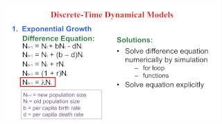 Difference Equations in R Part 1: Representing Basic Population Dynamics