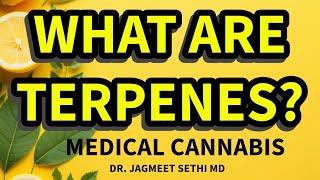 Terpenes in Cannabis Help Pain, Sleep and Anxiety.