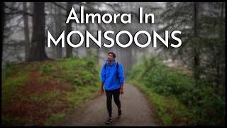 Living In A Hidden PINE FOREST In Almora | An Escape For Bruised Lungs