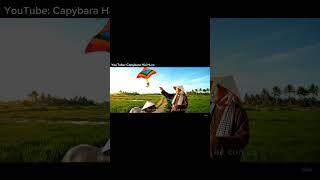 #capybara #funny #dongvat #memes #trendingshorts #giaitri #trending #cute #ytshorts #haihuoc