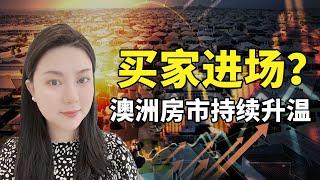 澳洲房价触底反弹，买家开始进场？2023年8月房市回顾