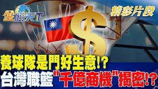 養球隊是門好生意!? 台灣職籃"千億商機"揭密!?｜金臨天下 20240717 @tvbsmoney