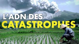 Les Japonais ont-t-ils évolué (génétiquement) à cause des catastrophes ?